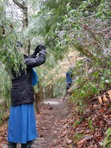 Mother and Daniel both taking photos of ice.