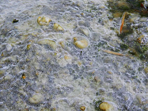 Ice on the boulders around the falls.